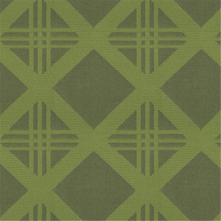 205 100 Percent Polyester Fabric, Lime